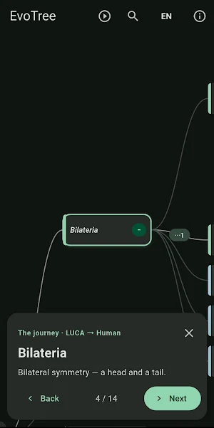EvoTree Screenshot 2