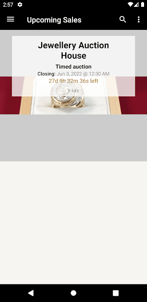 Jewellery Auction House Screenshot 0
