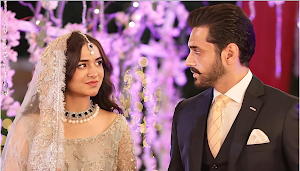 Tere Bin - Pakistani Drama Screenshot 3
