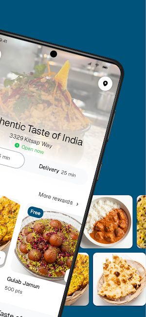 Authentic Taste of India Screenshot 1