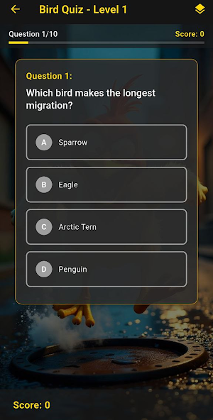 B9 Game & Play Now Screenshot 1