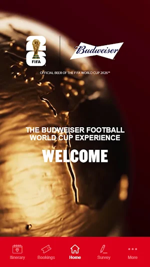 Bud FC Experience Screenshot 1