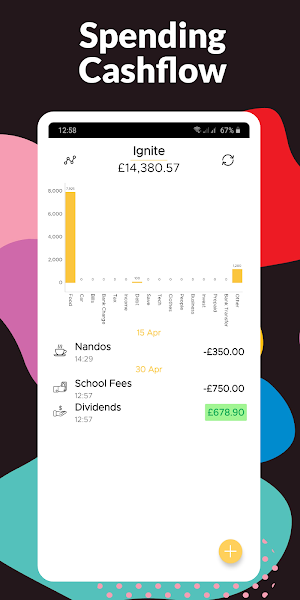FINANCE BUDDY: Budget, Savings, Debts, Bills,Money Screenshot 3