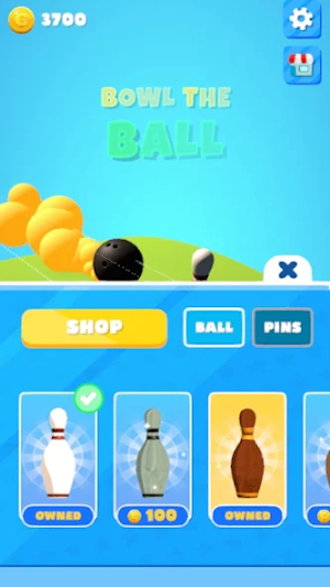 Bowling Game 3D: Strike Screenshot 2