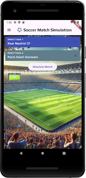 Soccer Match Simulation Screenshot 0