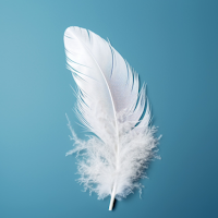 Feather Wallpaper