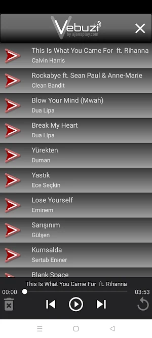 Vebuzi Player Screenshot 1