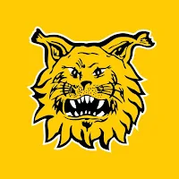 Ilves Football