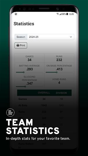 Boise Hawks Screenshot 2
