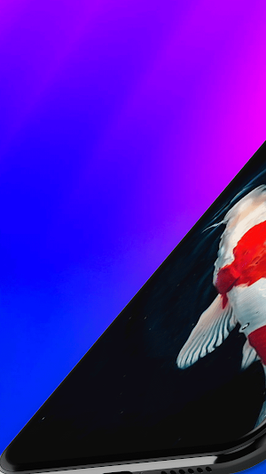Koi Fish Wallpaper Screenshot 0