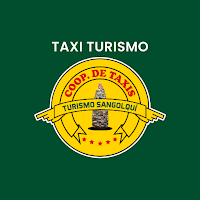 Taxi Turismo Conductor