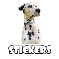 Dalmatian Dog Stickers