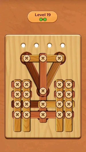 Screw Nuts Master Screw Puzzle Screenshot 2