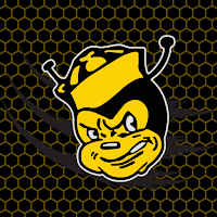 Sidney Yellowjackets Athletics