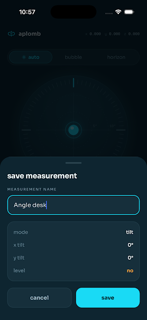 Digital Level Screenshot 1