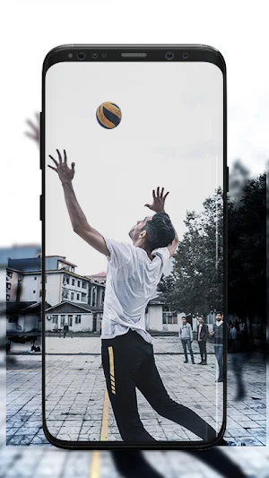 Volleyball Wallpaper Screenshot 3
