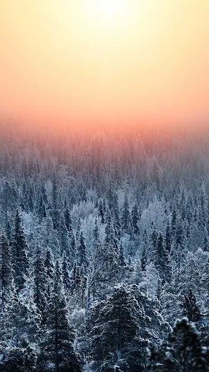Winter Wallpapers 2022 Screenshot 1