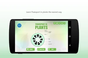 Transport in Plants Biology Screenshot 0