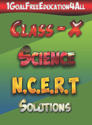 10th class science ncert solution Screenshot 0