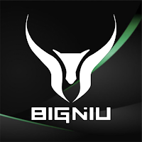 BIGNIUE-BIKE