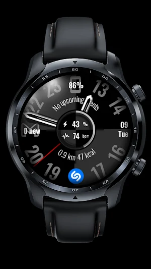 Analogue Watch Face CRC082 Screenshot 0