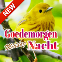 Dutch Good Morning Afternoon & Good Night Wishes