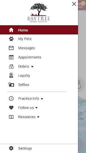 Baytree Animal Hospital Screenshot 1