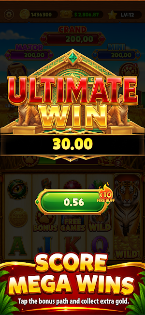 Tiger Fortune Slots Screenshot 2