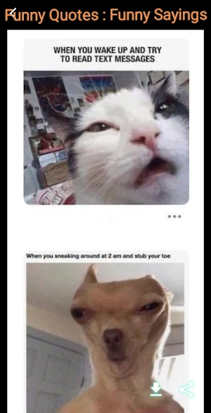 Funny Quotes : Funny Sayings Screenshot 0