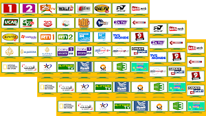 GlobeTV Screenshot 1