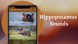 Hippopotamus Sounds Screenshot 1
