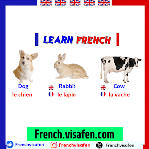 Learn French - Français Screenshot 2