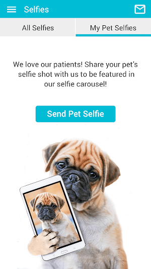 Dogwood Vet Screenshot 3