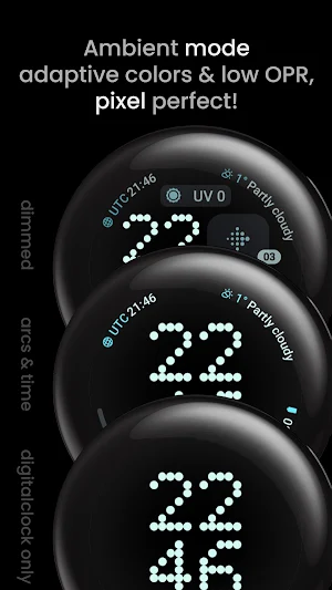 Pioneer Watch Face Screenshot 3