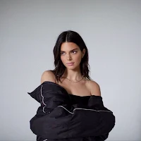 Kendall Jenner Wallpaper 2024