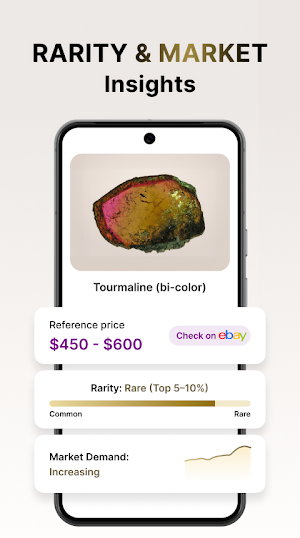 Rock Scanner: Ai Stone App Screenshot 2