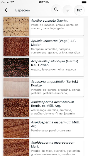 Madeiras Comerciais do Brasil Screenshot 1