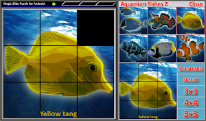 Magic Slide Puzzle A Fishes 2 Screenshot 3