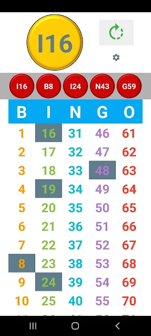 Bingo Caller Screenshot 1