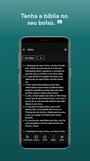 PIBVA Screenshot 2