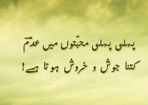 Abdul Hameed Adam Shayari عبدالحمید عدم Screenshot 3