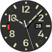Diving watch