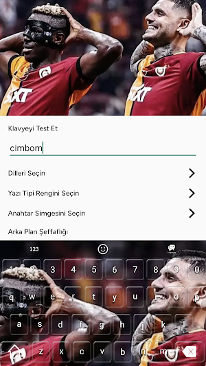 Galatasaray Wallpapers Screenshot 3