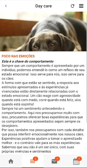 Vila Dogo Screenshot 2