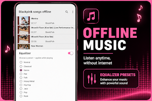 BLACKPINK Songs Offline Screenshot 0