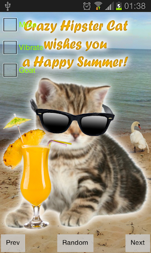 Crazy Hipster Cat Screenshot 2