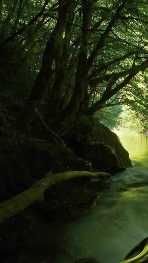 Find The Frog Screenshot 3