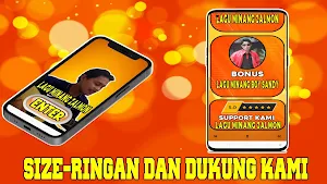 Lagu Minang Zalmon Mp3 Offline Screenshot 2
