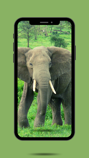 Elephant Ringtone Screenshot 0