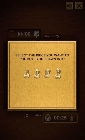 Master Chess Multiplayer Screenshot 3